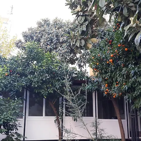 Uyar Palace Hostel
